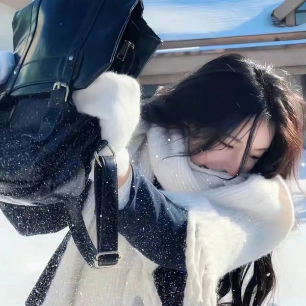 猫忍 海报